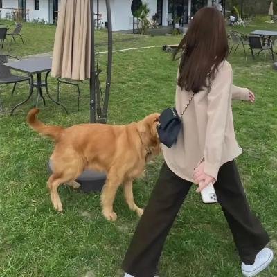 我们长大了 在线观看